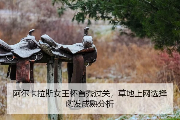 a-er-ka-la-si-nv-wang-bei-shou-xiu-guo-guan-cao-di-shang-wang-xuan-ze-yu-fa-cheng-shu-fen-xi-2-407.jpg
