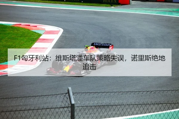 F1匈牙利站：维斯塔潘车队策略失误，诺里斯绝地追击