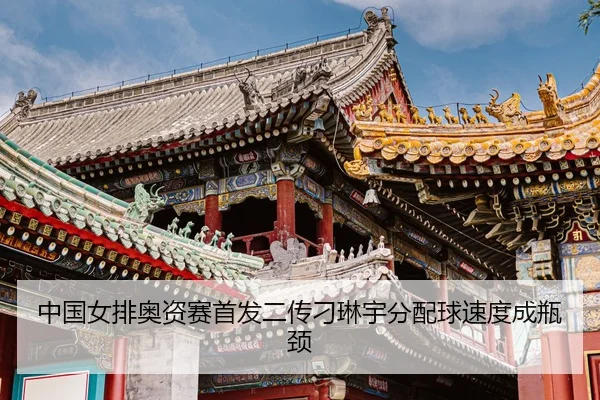 zhong-guo-nv-pai-ao-zi-sai-shou-fa-er-chuan-diao-lin-yu-fen-pei-qiu-su-du-cheng-ping-jing-3-698.jpg