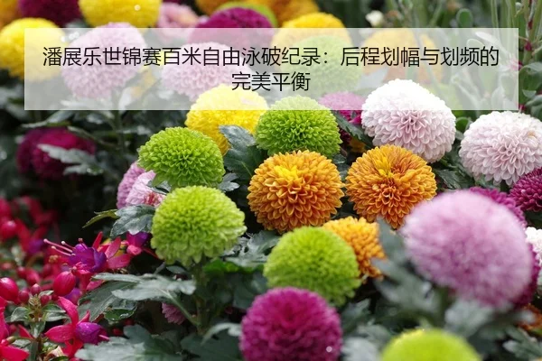 潘展乐世锦赛百米自由泳破纪录：后程划幅与划频的完美平衡