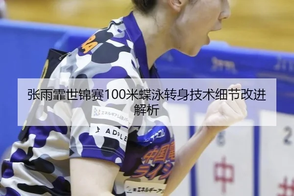 zhang-yu-fei-shi-jin-sai-mi-die-yong-zhuan-shen-ji-shu-xi-jie-gai-jin-jie-xi-2-445.jpg