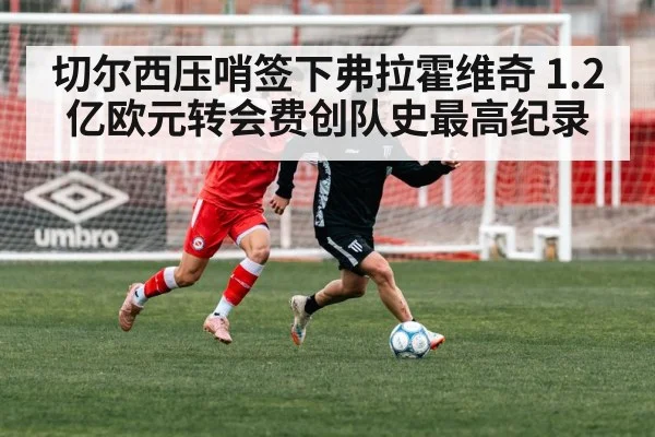 切尔西压哨签下弗拉霍维奇 1.2亿欧元转会费创队史最高纪录