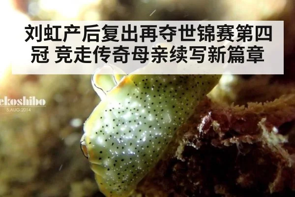 刘虹产后复出再夺世锦赛第四冠 竞走传奇母亲续写新篇章